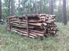 Obniżka cen na drewno pozyskane "samowyrobem"
