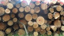 Nowe ceny detaliczne na drewno opałowe