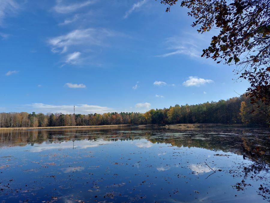 Zdjęcie przedstawia Zbiornik Wydymacz, sporych rozmiarów staw okolony lasem. Fot. Piotr Dobosz