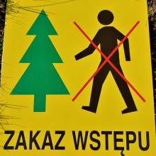 Okresowy zakaz wstępu do lasu.