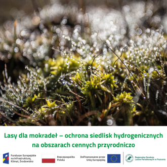 Lasy dla mokradeł – ochrona siedlisk hydrogenicznych na obszarach cennych przyrodniczo